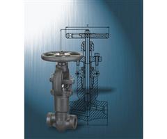 Forged Pressure Seal Gate Valve