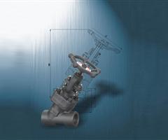 Y Type Globe Valve