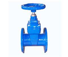 DIN CI Resilient-seated Flanged Gate Valves 
