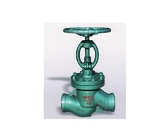 Vacuum insulation Globe valve